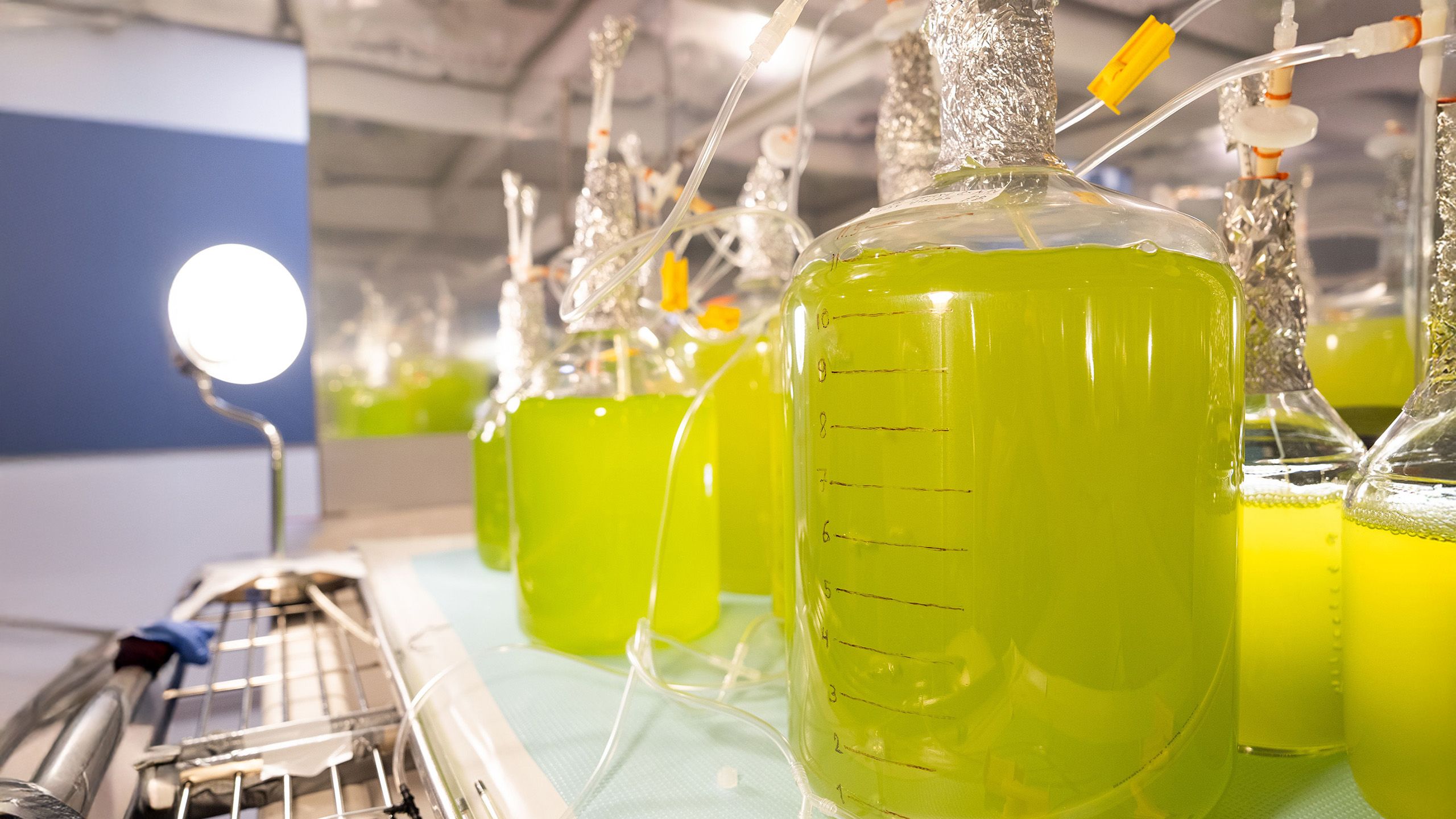 A sunset over a grassy hill. The soil beneath the grass can be seen.