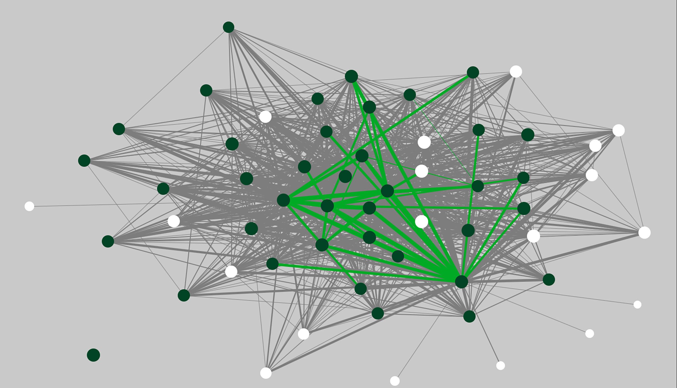 a digital rendering of a complex web of interconnected data shown in grey and green
