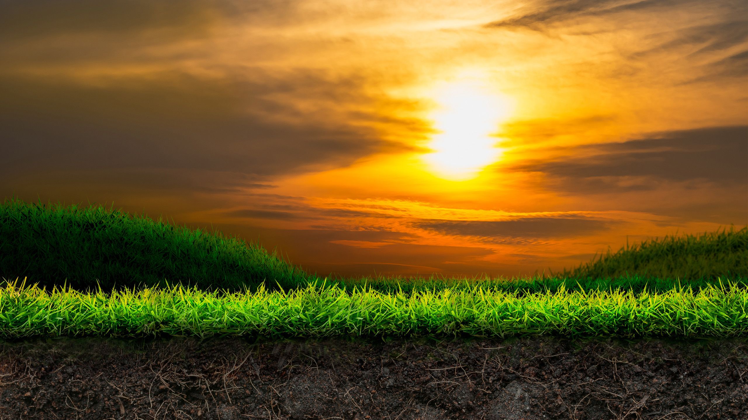 A sunset over a grassy hill. The soil beneath the grass can be seen.
