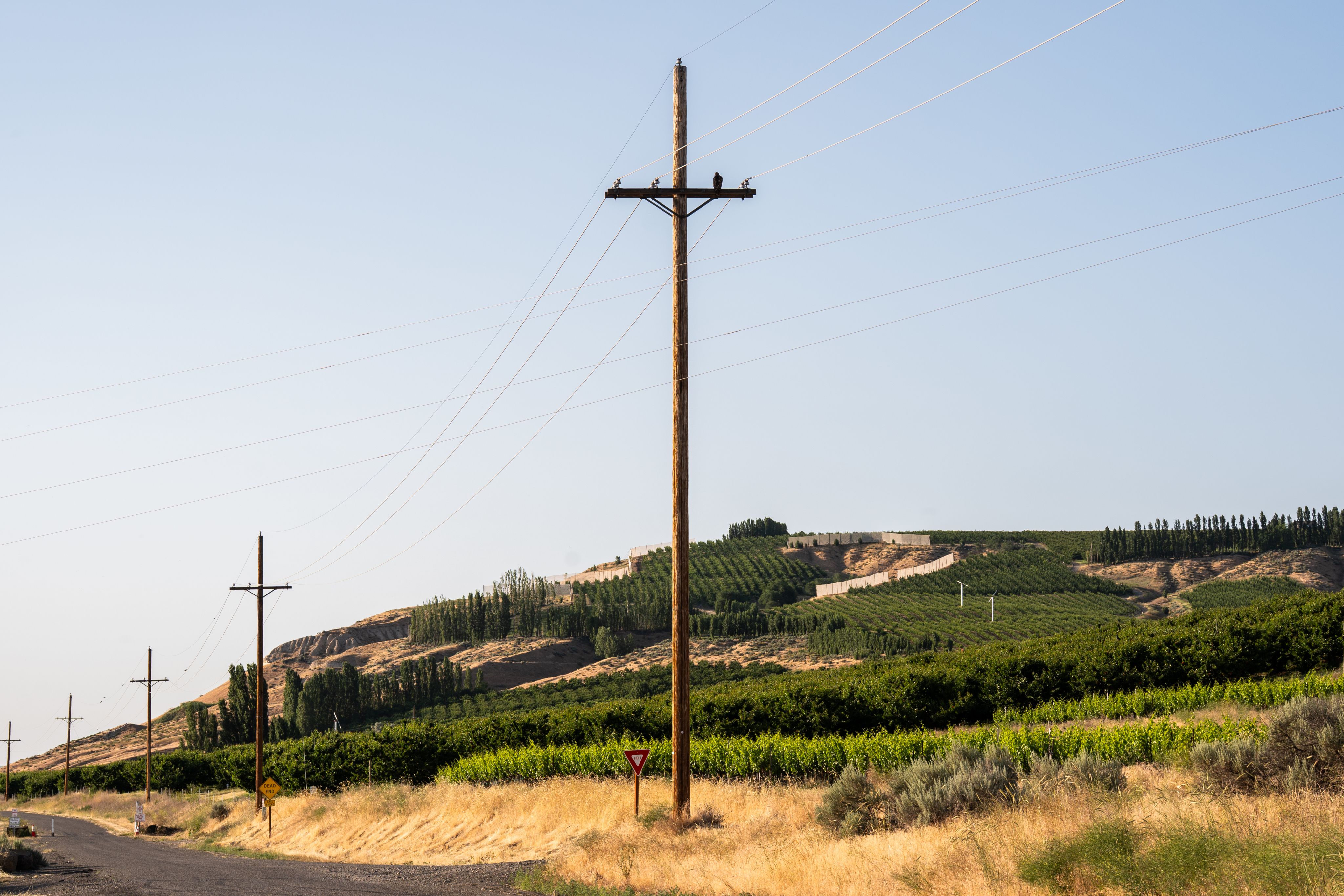 power lines and polls running through a rural, plains-like area